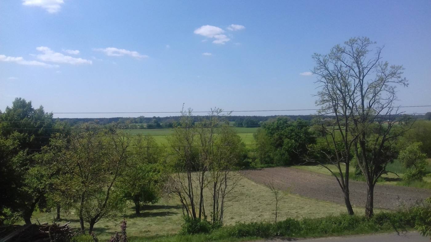 Widok na pola i drzewa z okna